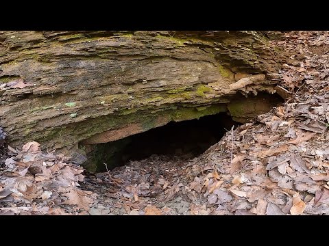 Going Into An Iron Mine We Found In The Woods