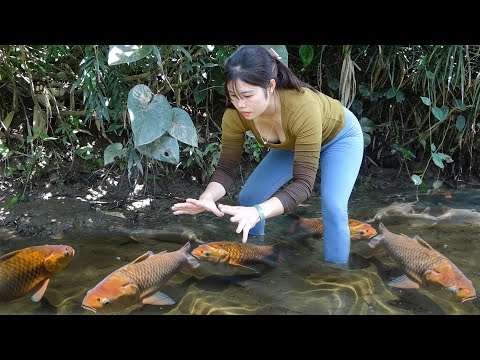 Fishing Technology: Unique Fishing, The Girl Harvesting Big