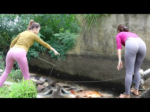 Top Videos: Unique Fishing - Harvesting Many Big Fish In