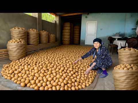 Harvesting Fresh Potatoes | Grandma Making Crispy Fried