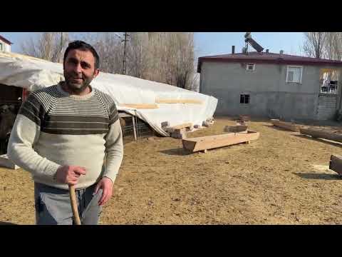 UZUN ZAMAN SONRA CEMAL DAYI VE KOYUNLARI