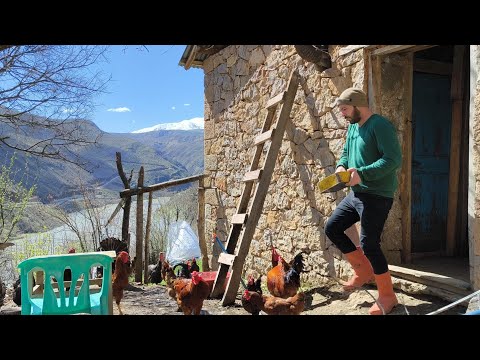 Yalnız Bir Adam, Aradığı Huzuru ve Sevgiyi Hayvanlarında