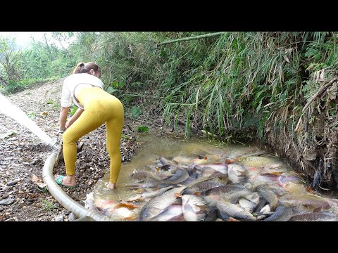 Unique Fishing | Use a Pump To Suck Water Out Of The Lake,