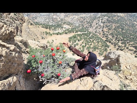 Kulthum finds a peach tree in the mountains and gives the