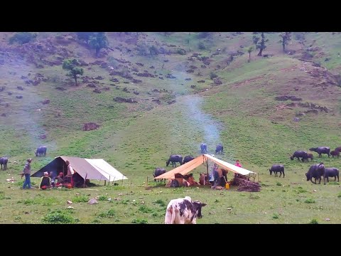 Organic Nepali Himalayan Village Life in Nepal