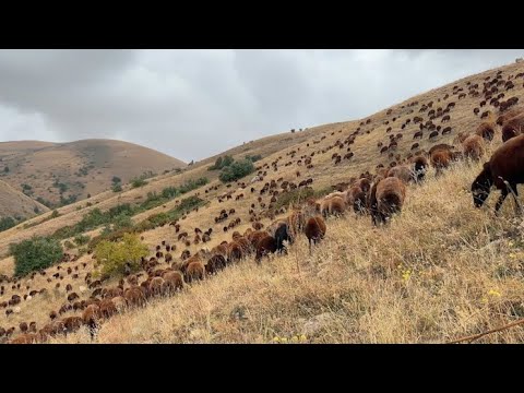 UZUN ZAMAN SONRA YAĞMUR YAĞDI | Yeni Mikrofonum