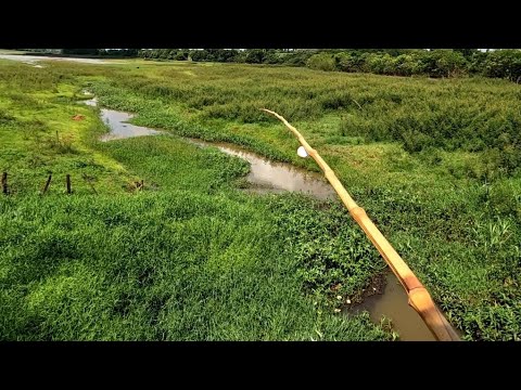 Pescaria caipira de Corvina piau e espada Rio