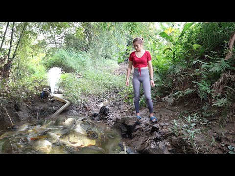 Top Video: Fishing techniques, Survival fishing, Catching