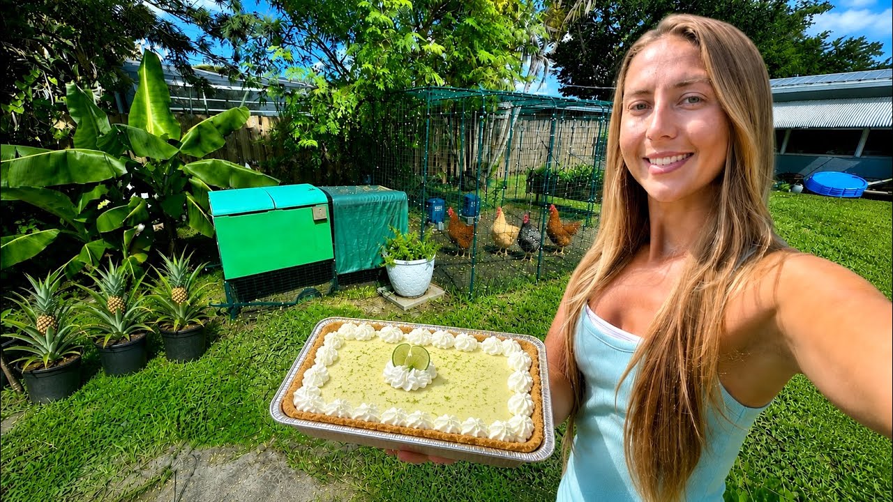 We Added New Chickens, Planted Pineapples & Made a Key Lime