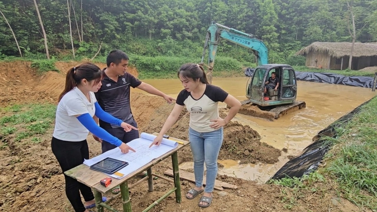 Excavator used for construction of a snail farm project for