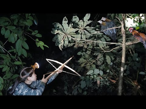 Hunt wild chickens at night, set up shelters in the