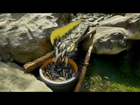 I Made a Fish Trap and Caught Fish in Five Minutes