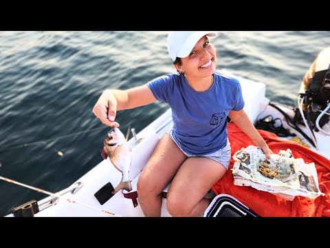 Balık Bulucuyu Taktık Çipurayı Bulduk! - Tekneden Balık Avı