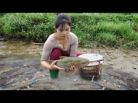 Amazing Fishing | Fishing Technique | Smart Girl's Unique