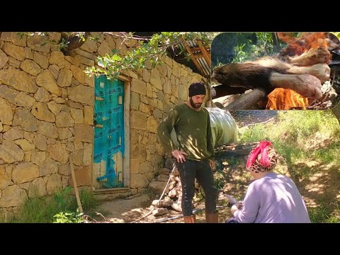 Yüksek bir dağ köyünde anne ile oğlun kelle paça