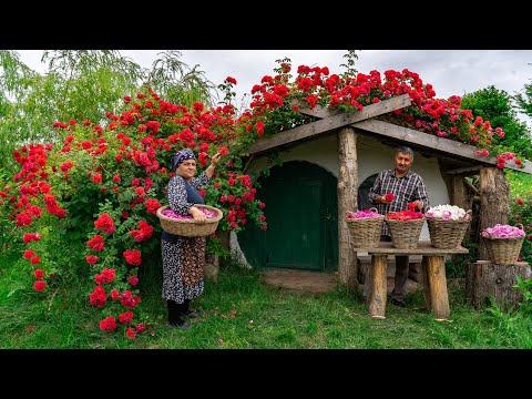 Traditional Rose Jam: Homemade Recipe from Fresh Roses