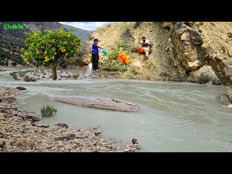 Nomad Family Builds a Shelter on a River Island Planting