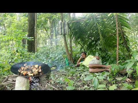 Survival Jungle & Bushcraft Camping build Relaxing roof