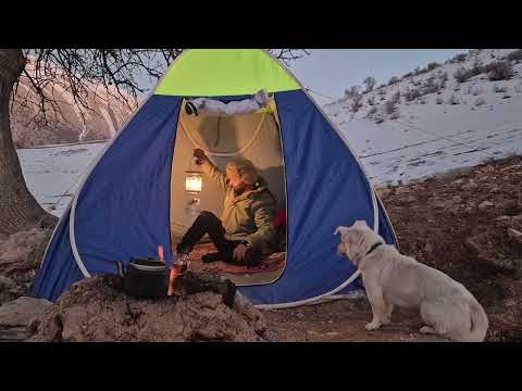 Surviving -10°C in the Snowy Mountains with My Dog Heated