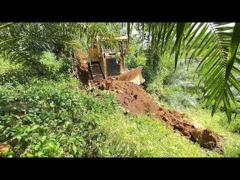 D6R XL Bulldozer Working on Building a Road in a Palm Oil