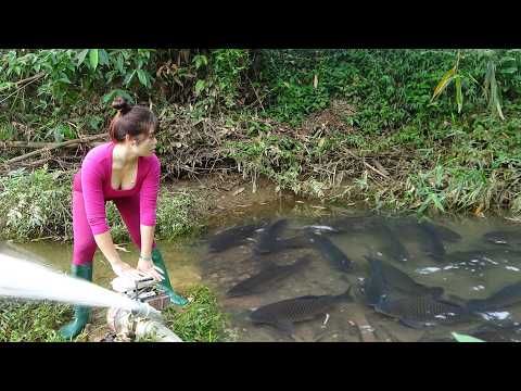 Fishing skills: Village women fishing scene will amaze