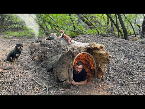 Building a Warm and Cozy Secret Shelter Deep Inside a large