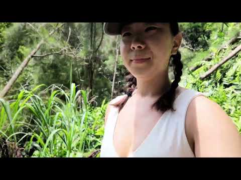 Hiking at Kuli‘ou‘ou Ridge Trailhead