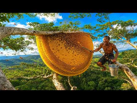 Unbelievable Two Brothers Harvest a Giant Wild Beehive