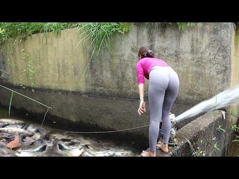 Videos Fishing - Unique Fishing Catch A Lot Off Fish With A