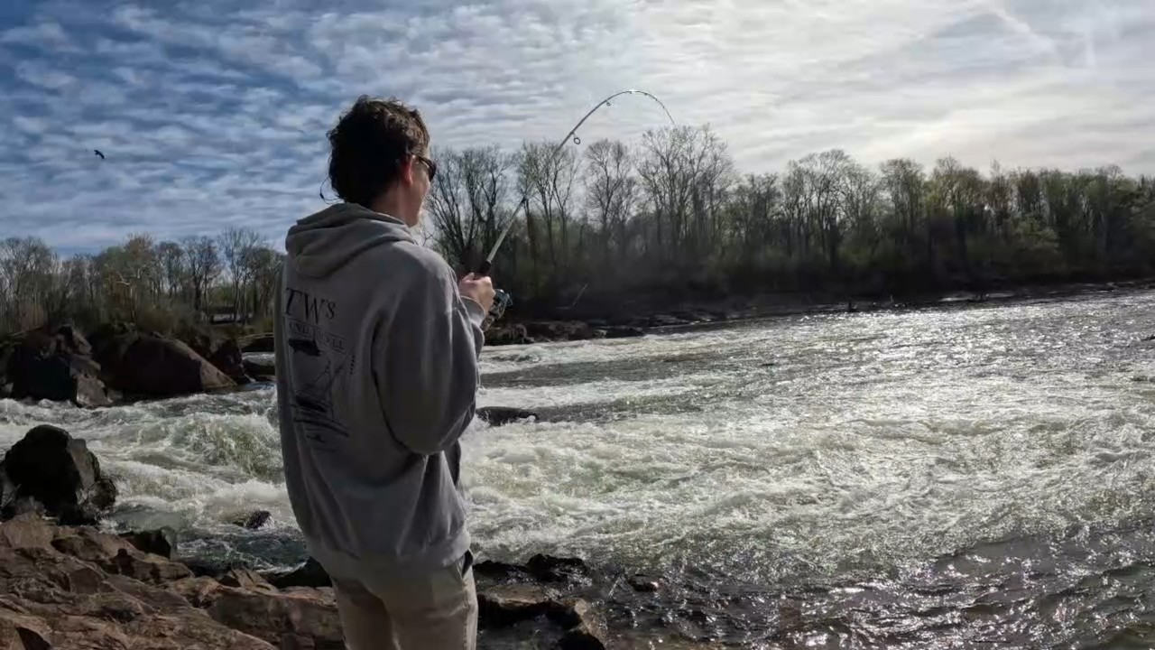 Shad Fishing Weldon North Carolina