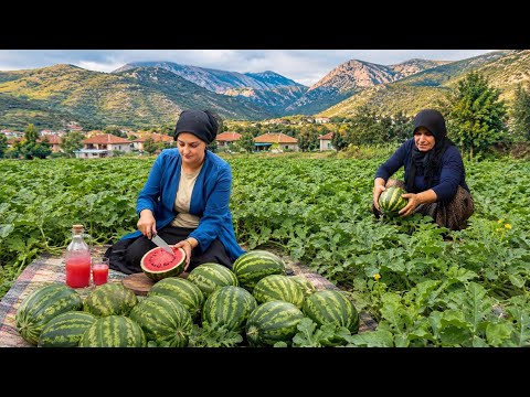 Köy Hayatı Taze Karpuz Hasadı Karpuz Meyve Suyu Yapımı