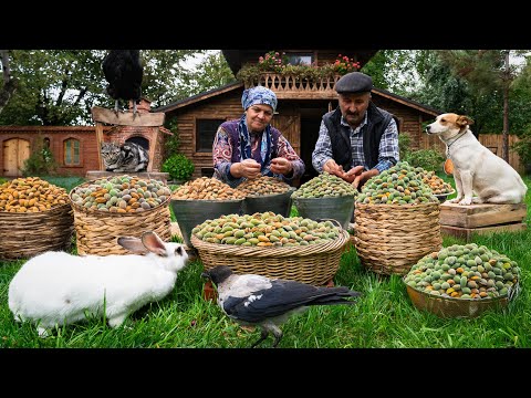 Harvesting and Baking with Fresh Almonds: A Village