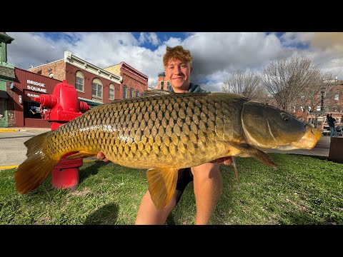 Catching Giant Fish in DOWNTOWN CITY (Unexpected Catch)