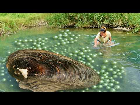 The sparkling green pearl clams in the small river