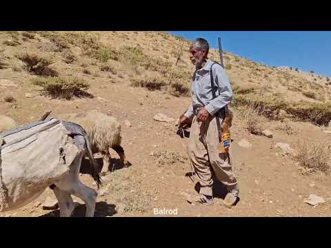Iran nomadic life: Jahangir's journey to pastures and a
