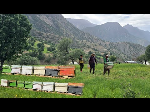 They Farm & Make Honey in the Wild Mountains Real Nomad