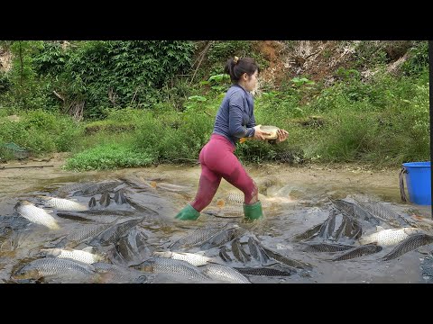 Young Girl Bought a Small Pond, Drained The Water in The