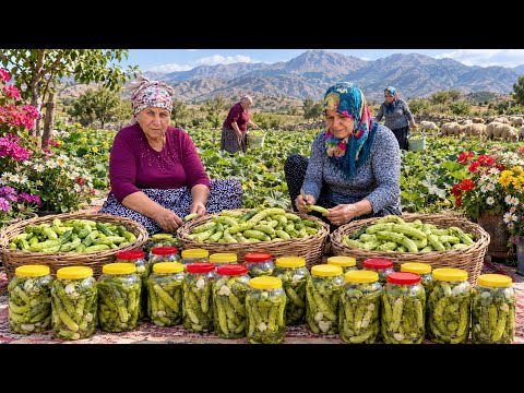 Yüksek Dağlarda İlk Acur Ve Salatalık Hasadı Köy Yaşamı