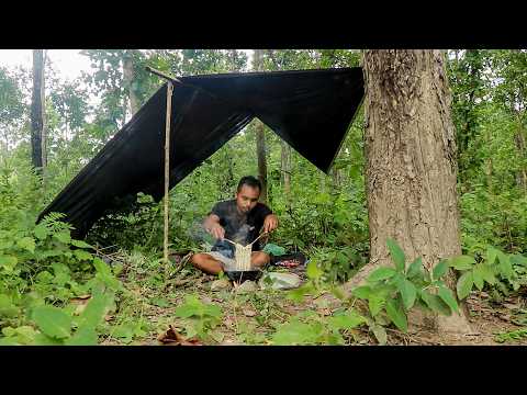 Jungle Bushcraft camping outdoor cooking Noodles with boild