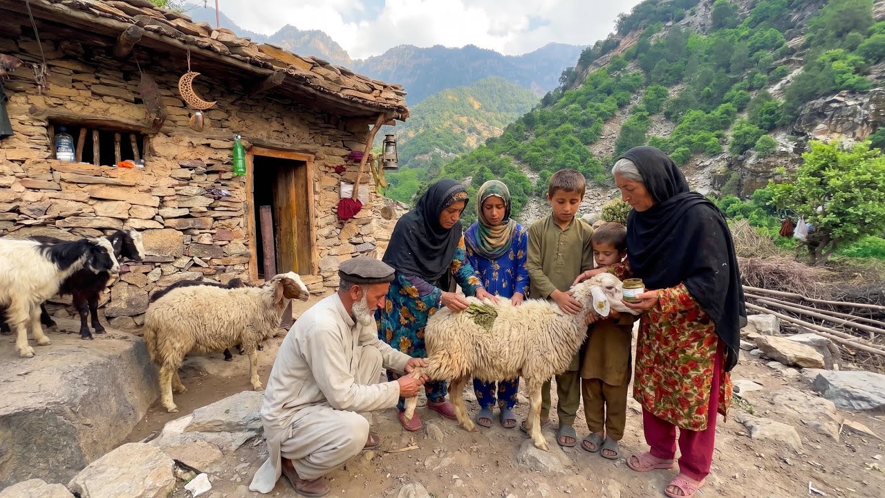 No Animal Hospital Here - How a Mountain Family Treats