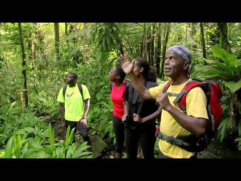 Caraïbes, les six îles du vent