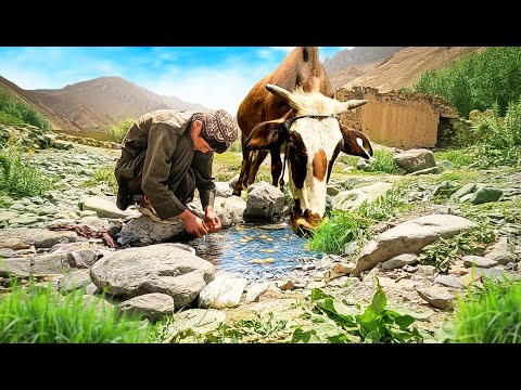 Far From Modern Life: An Isolated Family in Afghanistan’s