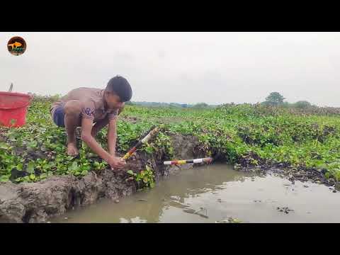 Amazing Hook Fishing In Village Expert Boy Hunting Big