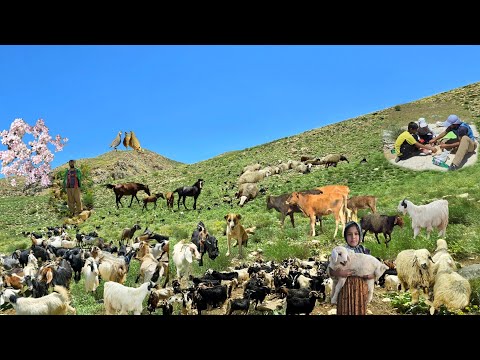 A nomad man's great adventure in the mountains to graze