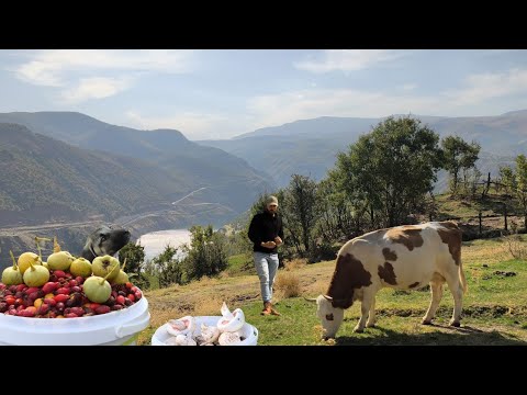 Köyde Günlük Hayat: Mantar, Alıç ve Kuşburnu Topladım