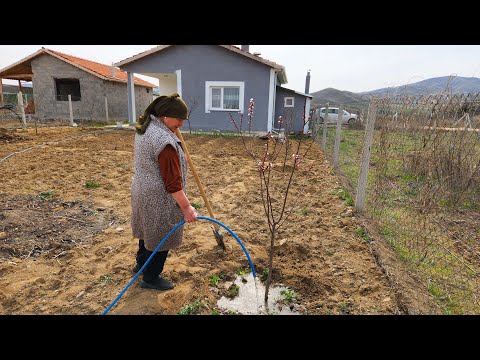BAHÇE İŞLERİ BİTMİYOR AMA GÜZELLEŞTİRİYORUZ ÇALIŞMAYA DEVAM