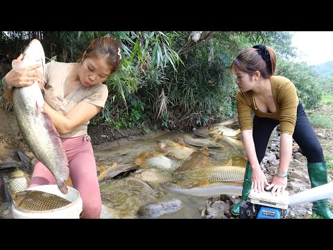 Full Videos: Greatest Fishing In The Wild, Unique Fishing,