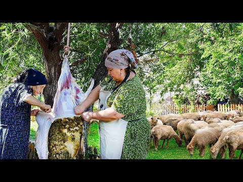 Grandma Butchering a Young Lamb for Eid al-Adha and