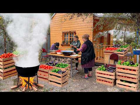 Harvesting Fresh Tomatoes, Cucumbers, Peppers & Eggplants