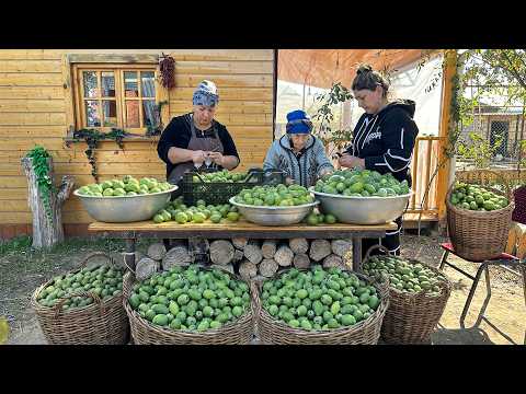 Harvesting Juicy Feijoa Fruit | Making Delicious JAM and